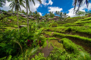 Holidays with a limited budget in Bali