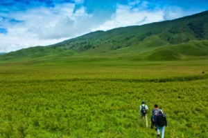 Charms of Mount Bromo