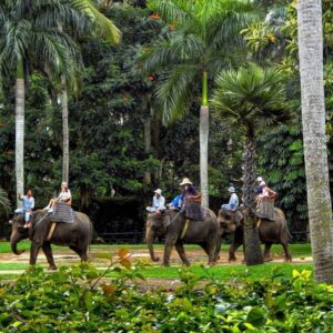 Activités Extrêmes à Essayer à Bali