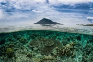 Underwater Charms of Sulawesi