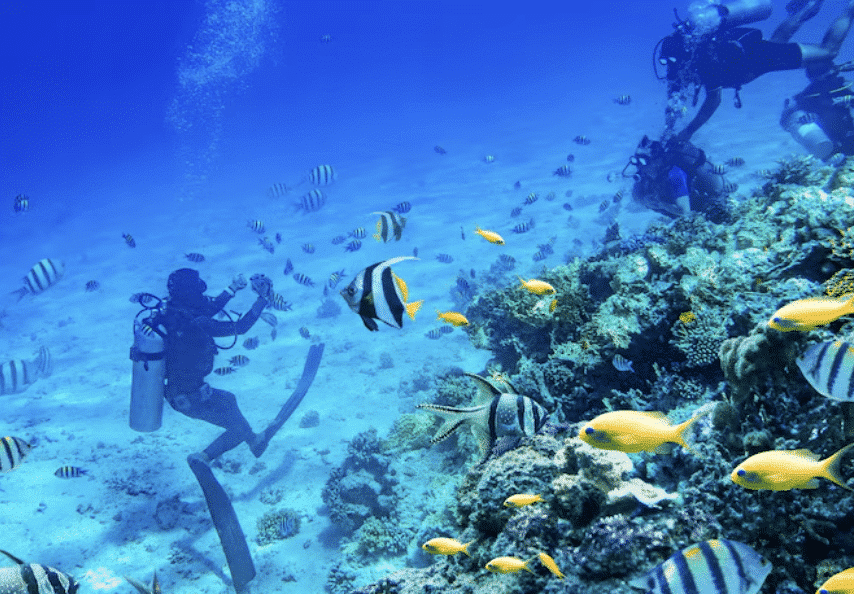 Diving di Komodo