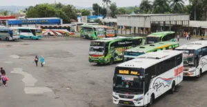 Java and Bali Tour