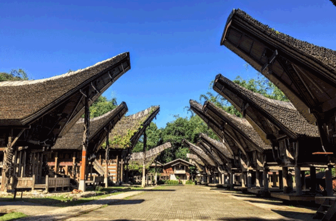 wisata ke Tana Toraja